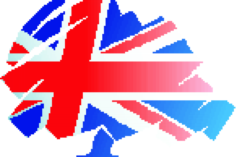 Conservative Logo Union Flag